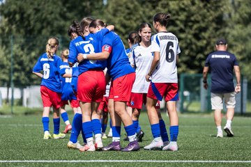 Bild 367 - wCJ Hamburger SV - FC Rosengarten : Ergebnis: 1:1